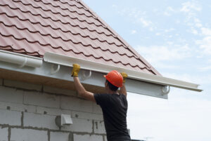 Roof cleaning