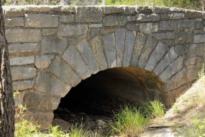 Black Bear Masonry